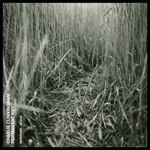 别搞我我还是处
